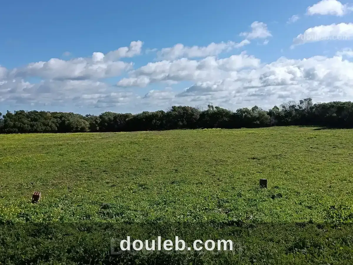 Terrain vue de mer à Tunis
