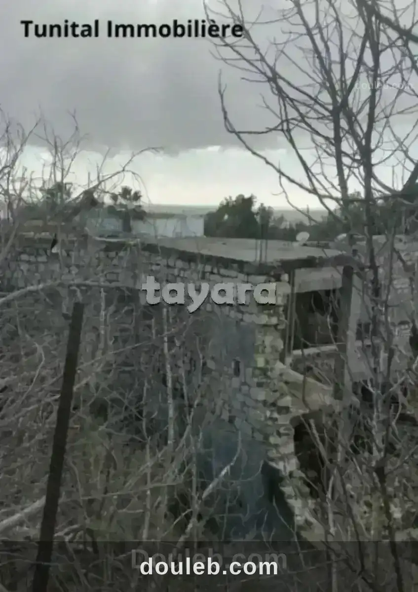 Gammarth supérieure coté journal à Tunis