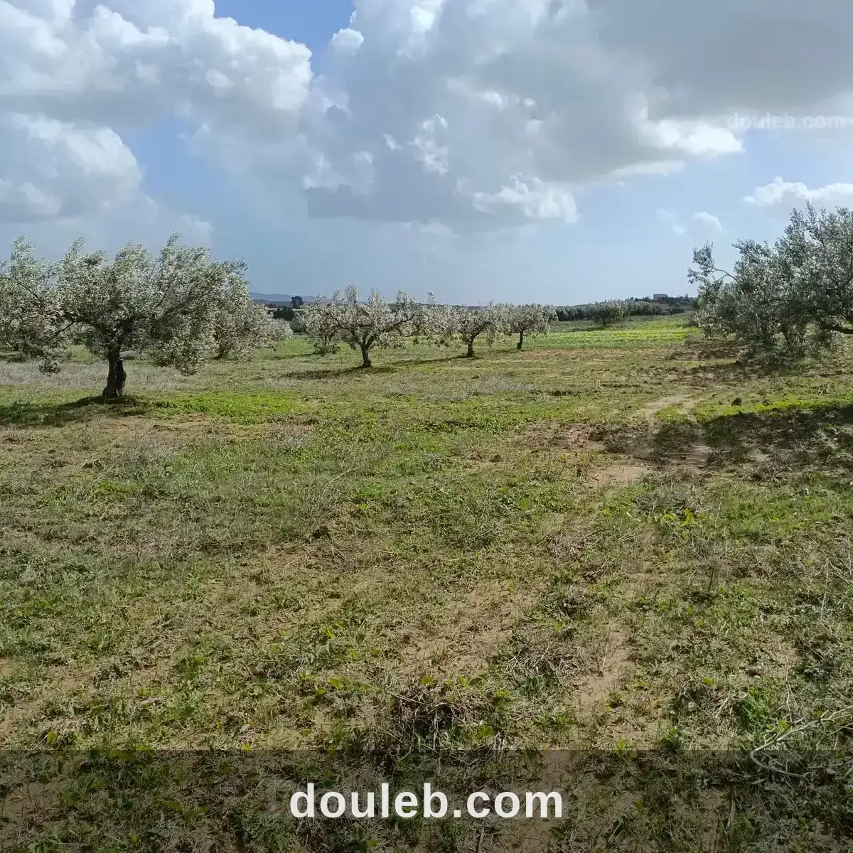 Av terrain de 4500m à hammamet à Tunis