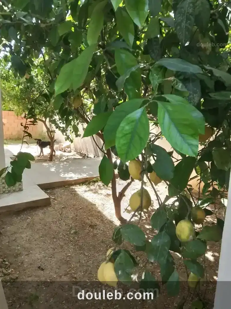 Maison au mourouj 2 à Tunis