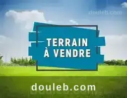 Terrain pour promoteur 5000 m2 à el ghazela à Tunis