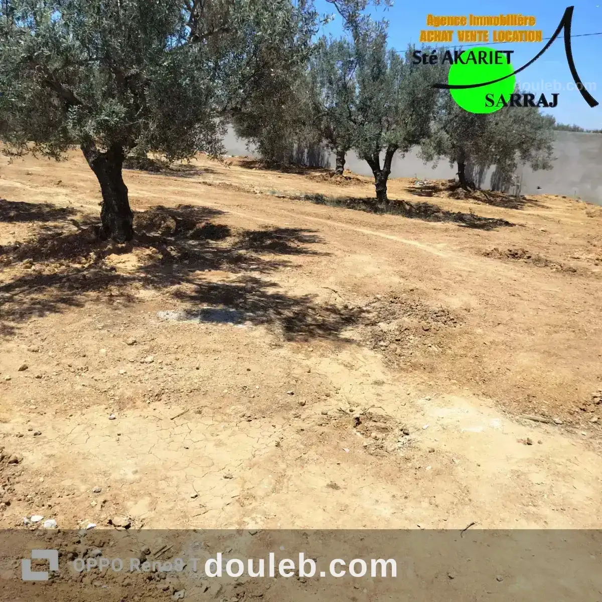 Lot clôturé 800m sur l'autoroute à kalaa seghira à Tunis