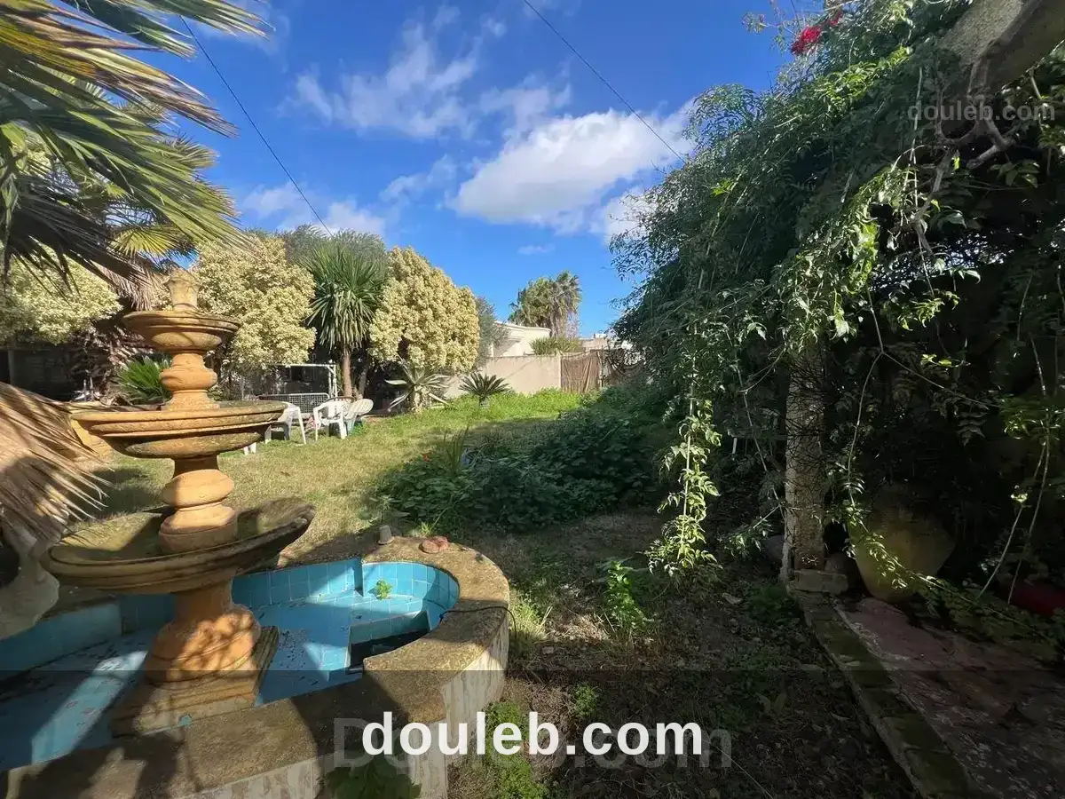 À sidi younes à Tunis