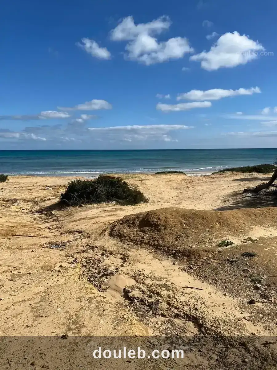 Cote dar allouche occasion magique à Tunis