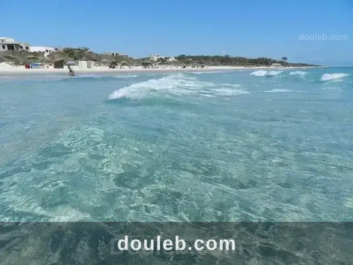 Un terrain pour investissement à Tunis