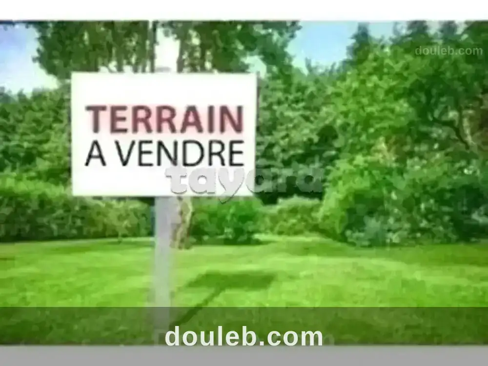 Terrain à jabbes à Tunis