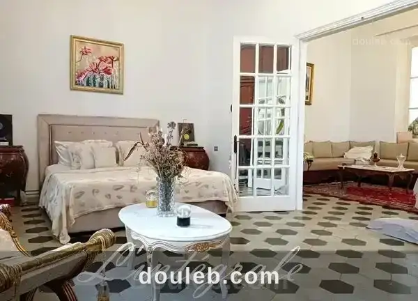Une belle maison typique à Tunis