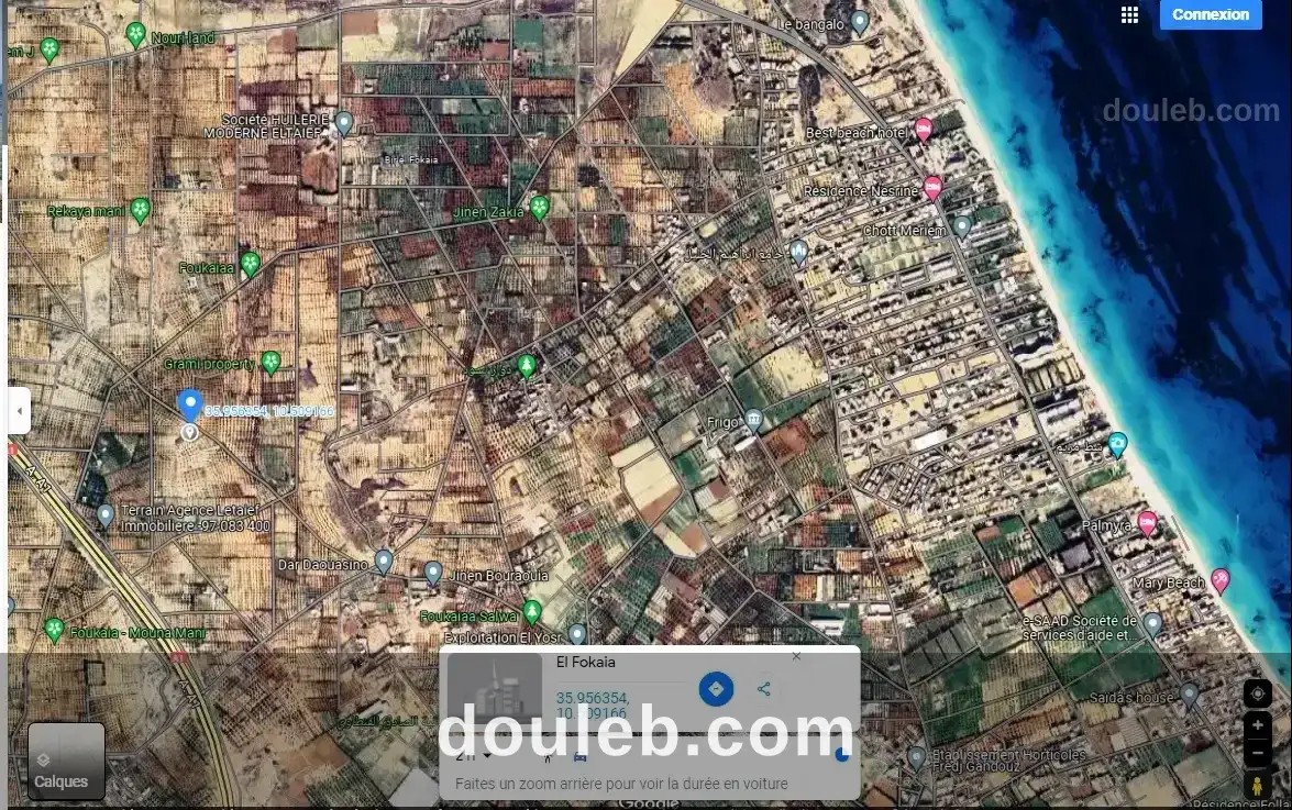 Opportunité terrain agricole 3366m à fokaia à Tunis