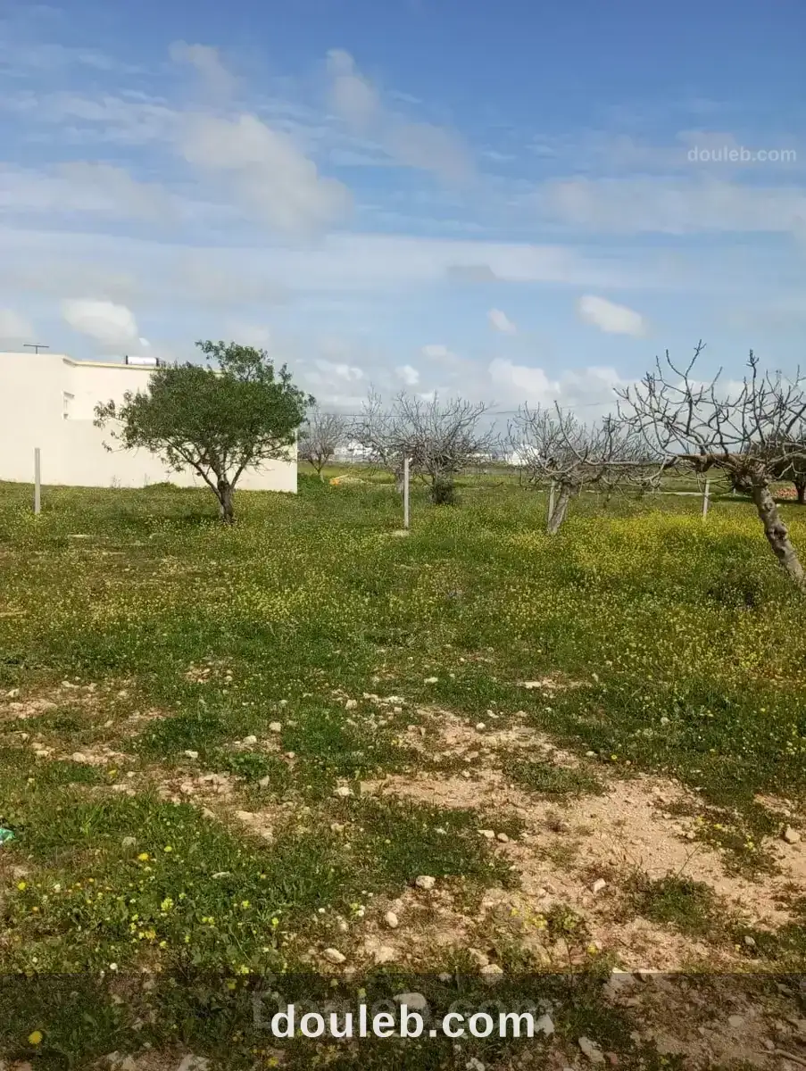 Av terrain 250m proche de la mer à hamammet à Tunis