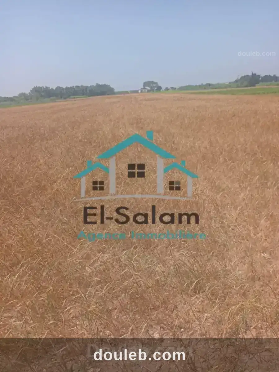 Lotissement a kelibia seulement a 26000 dt à Tunis