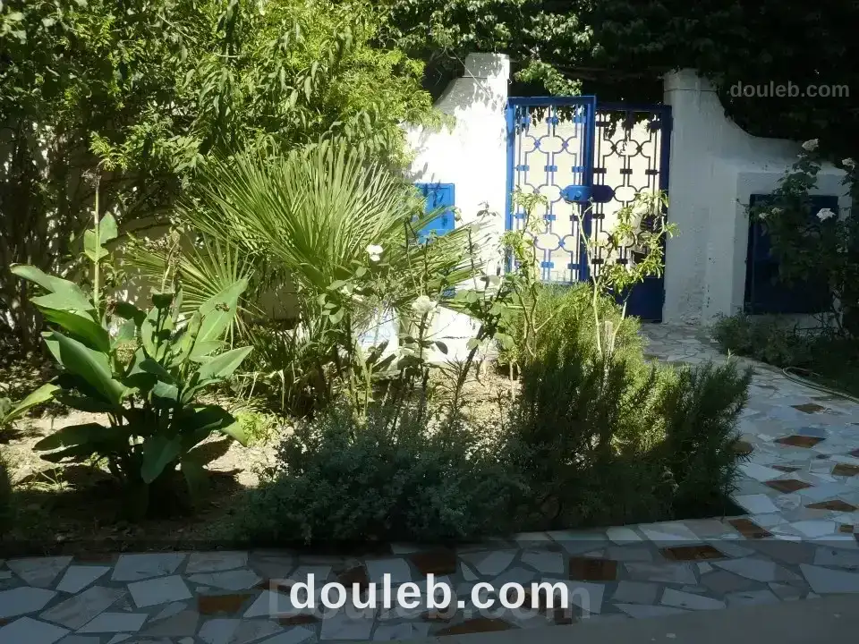 Villa avec jadin marsa à Tunis