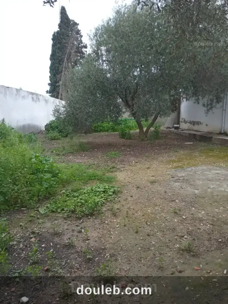 La soukra vnt ter viabilisé à Tunis