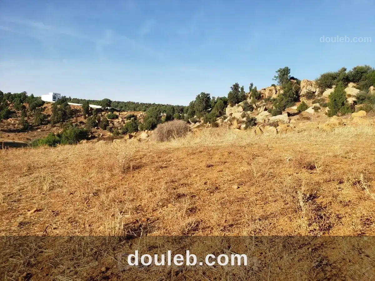 Av terrain 1300m avec vue dégagé proche hammamet à Tunis