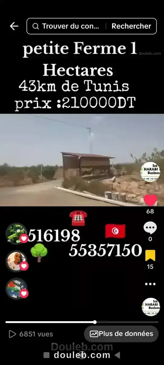 Une charmante petite ferme à Tunis