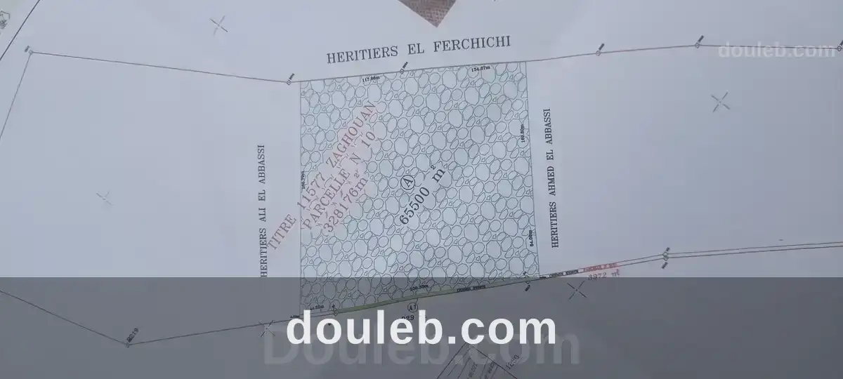 Ferme de 6h5 1 400 oliviers chemlali de trois ans à Tunis