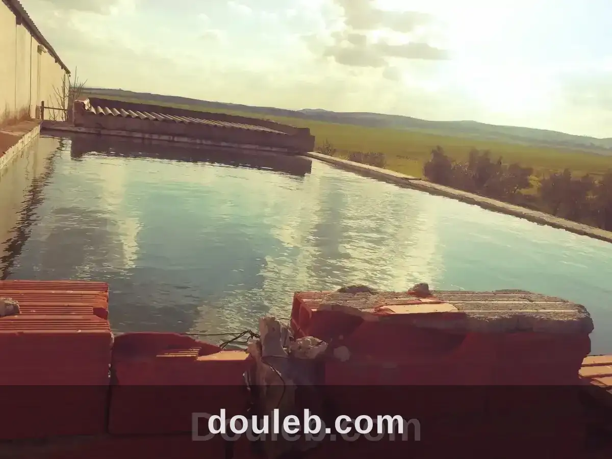 Une ferme agricole 1900 oliviers à Tunis