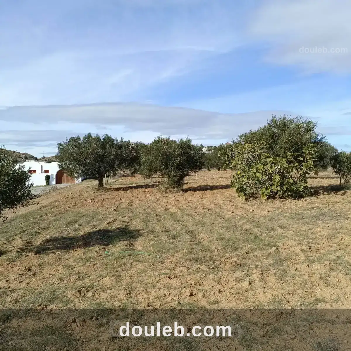 Av beau terrain 1000m à monchar hammamet sud à Tunis