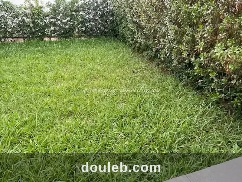 Appartement myriem à Tunis