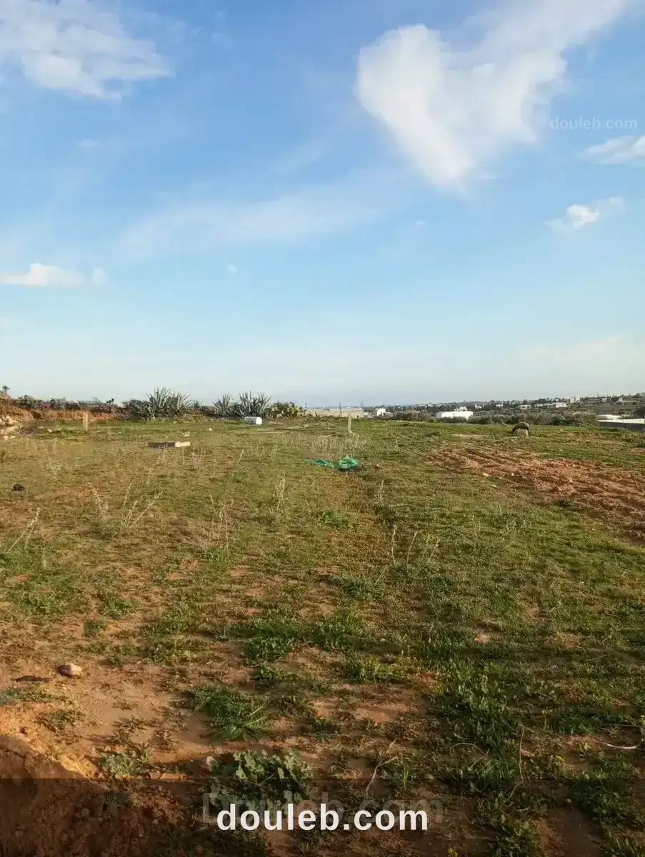 Av terrain 1000m à monchar hammamet sud à Tunis