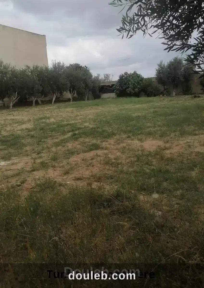 Terrain colturé r plus deux à Tunis