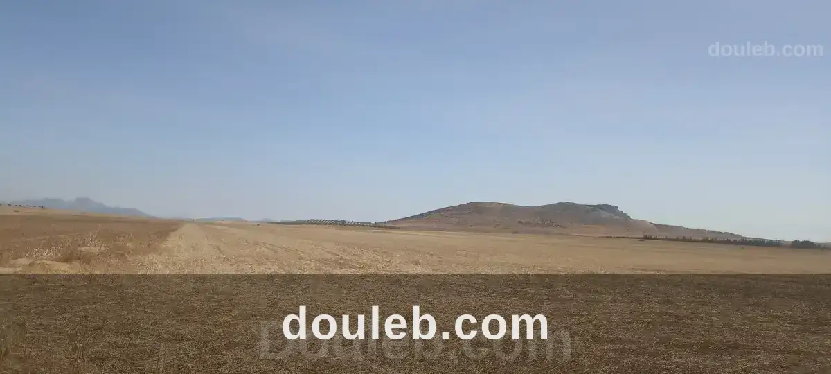 8 hectares nu excellente nappe phréatique à Tunis