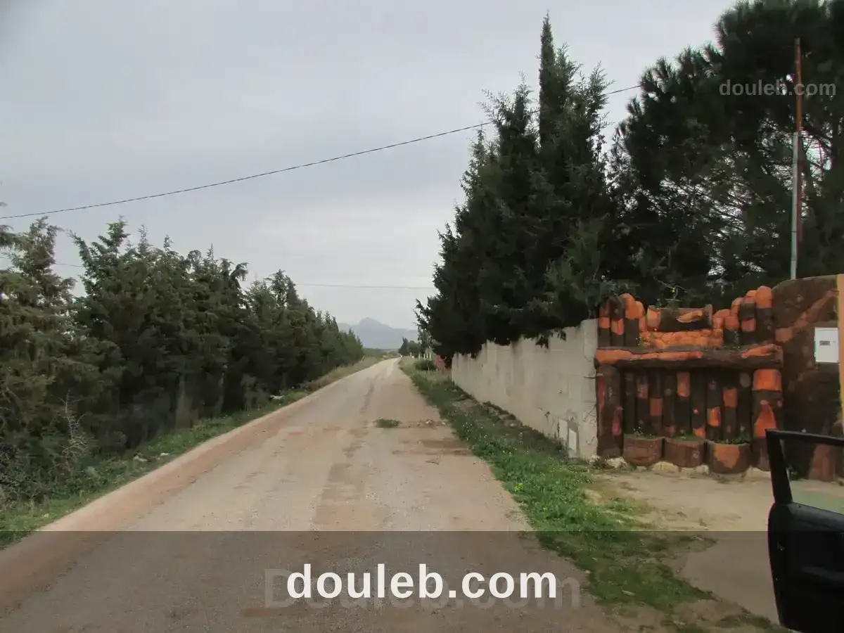 Belle ferme 7 hectares productive à Tunis