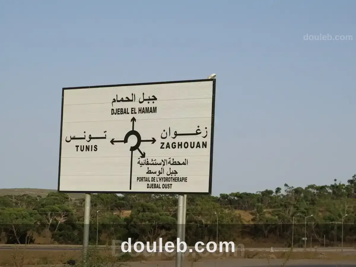 Des terrain résidentiels non préparés à Tunis