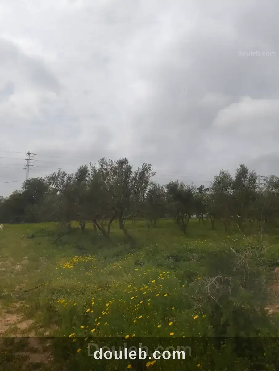 Terrain agricole - Miniature 2