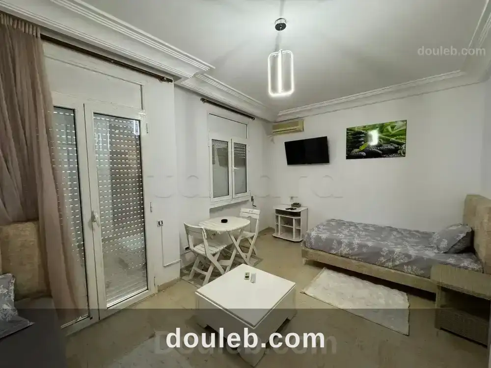 Studio s0 spacieux et luxueusement meublé - Miniature 4