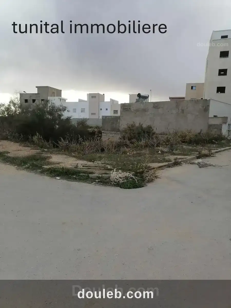 Raoued vers ariana lotissement tahmer - Miniature 2