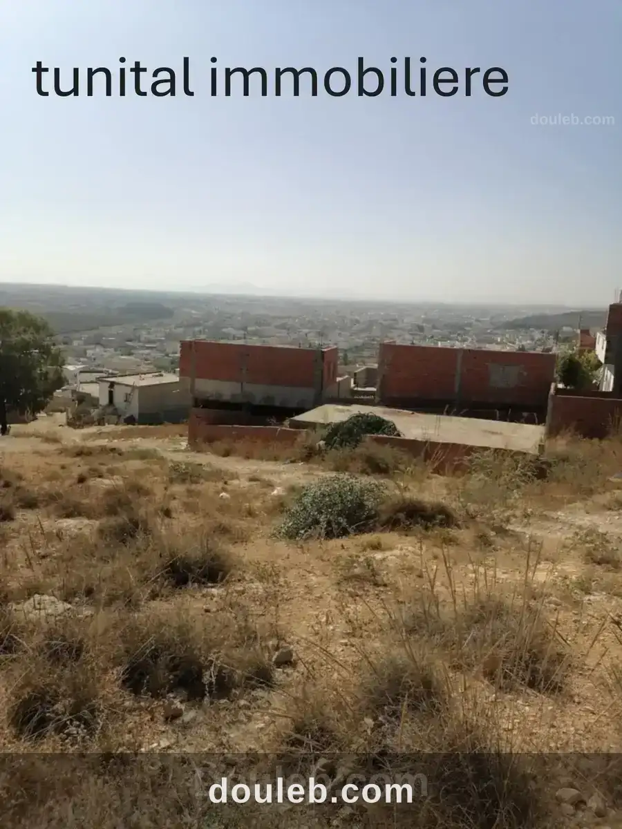 Ariana raoud jafar - Miniature 2