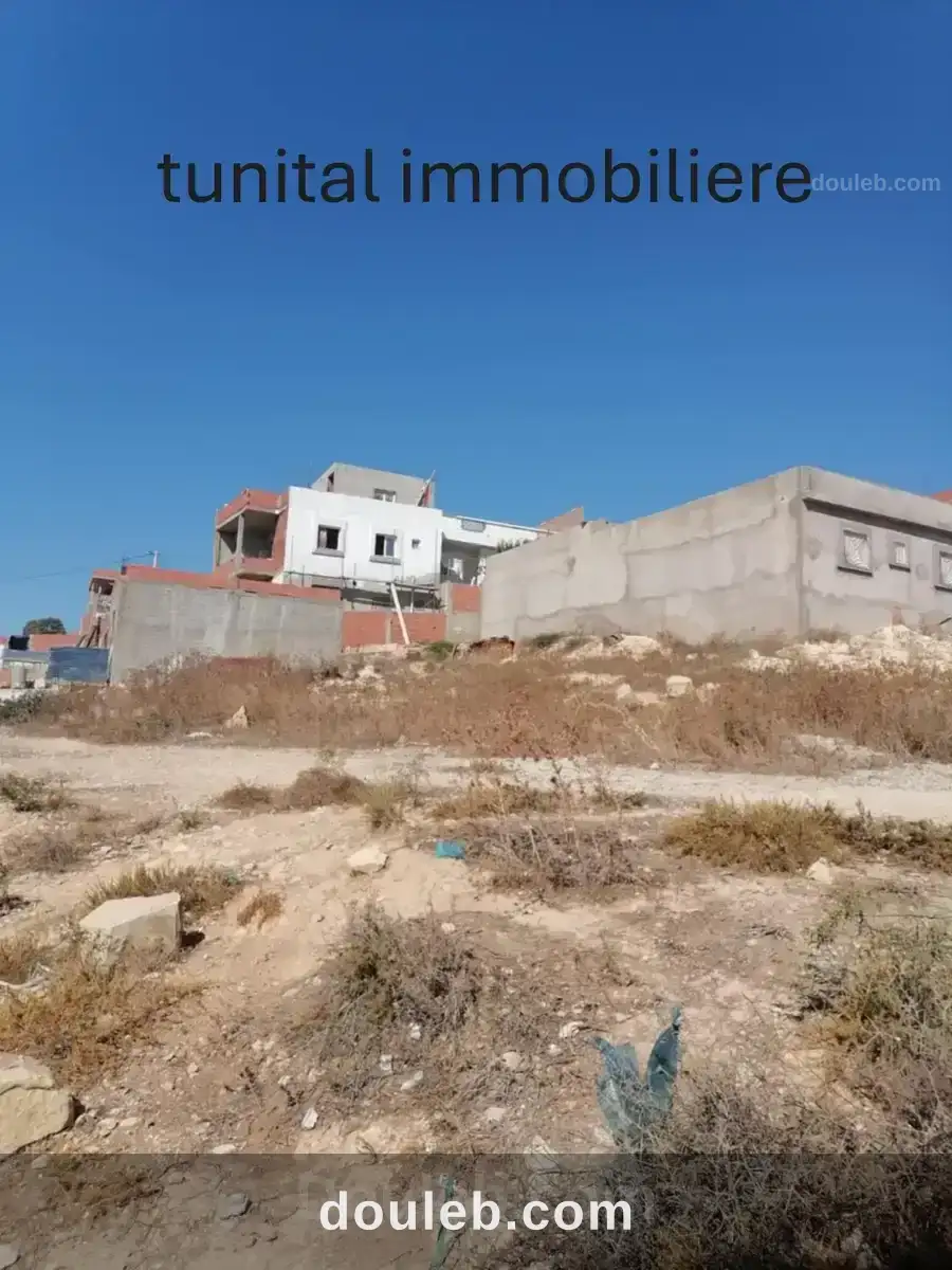 Ariana raoud jafar - Miniature 4