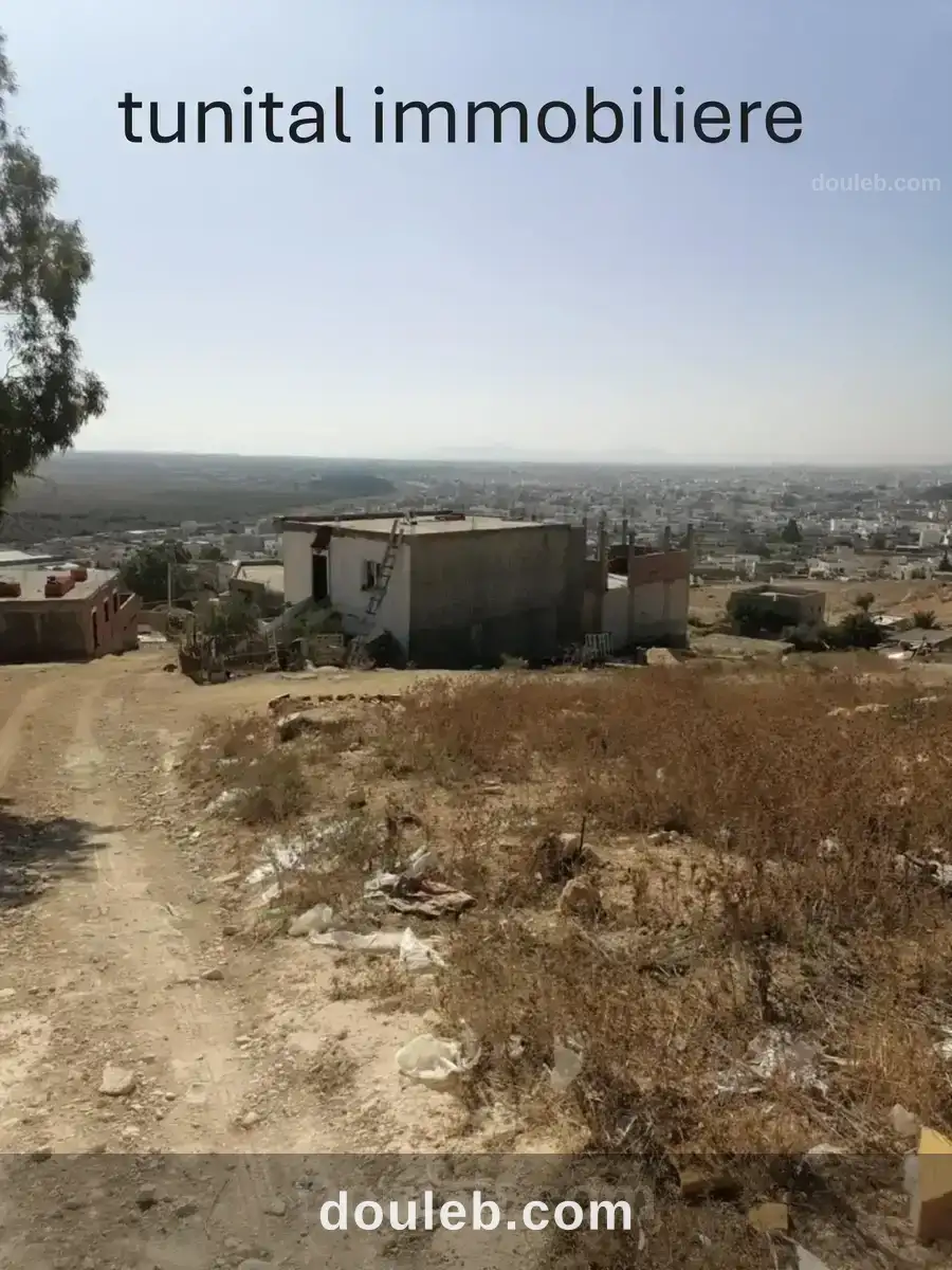 Ariana raoud jafar - Miniature 5