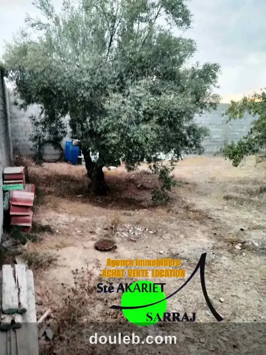 Terrain clôturé 1000m à kalâa seghira ennager - Miniature 2