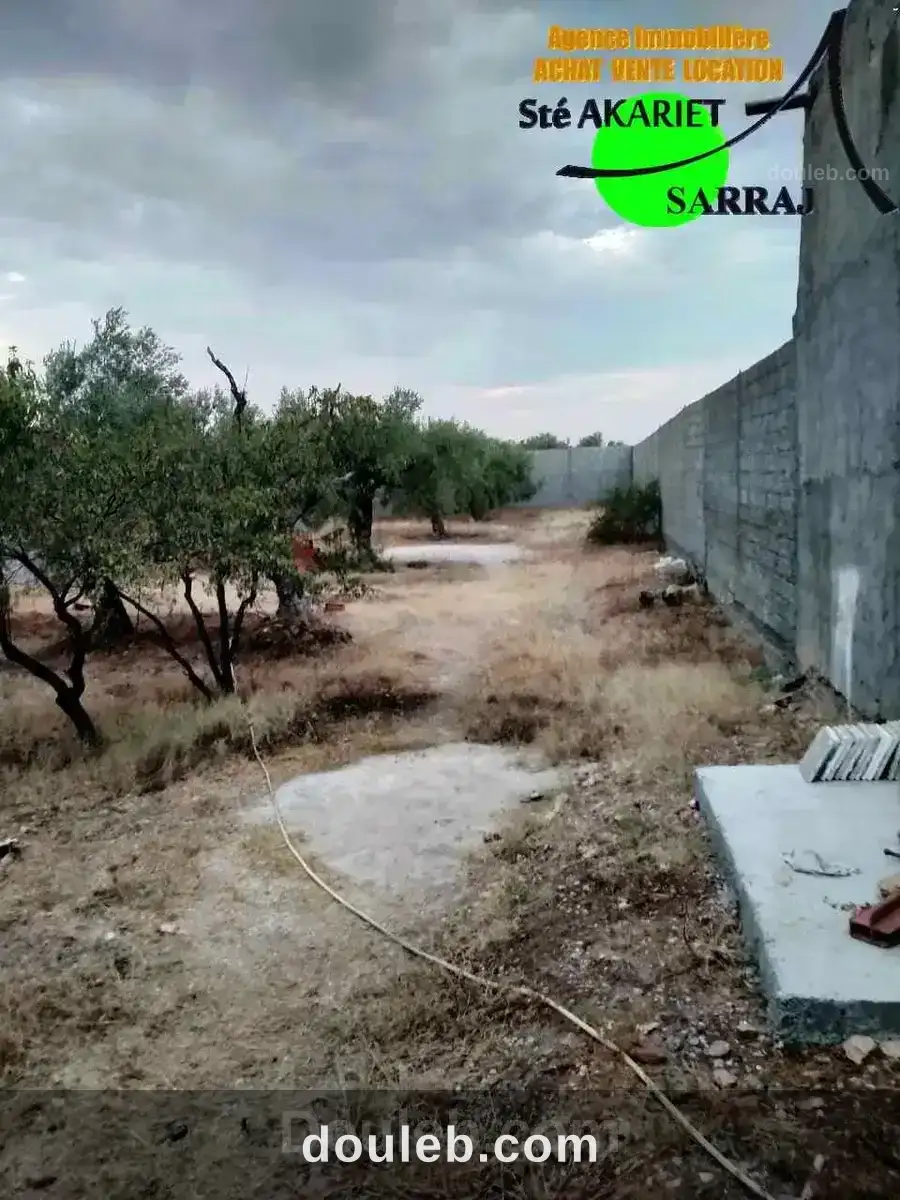 Terrain clôturé 1000m à kalâa seghira ennager - Miniature 5