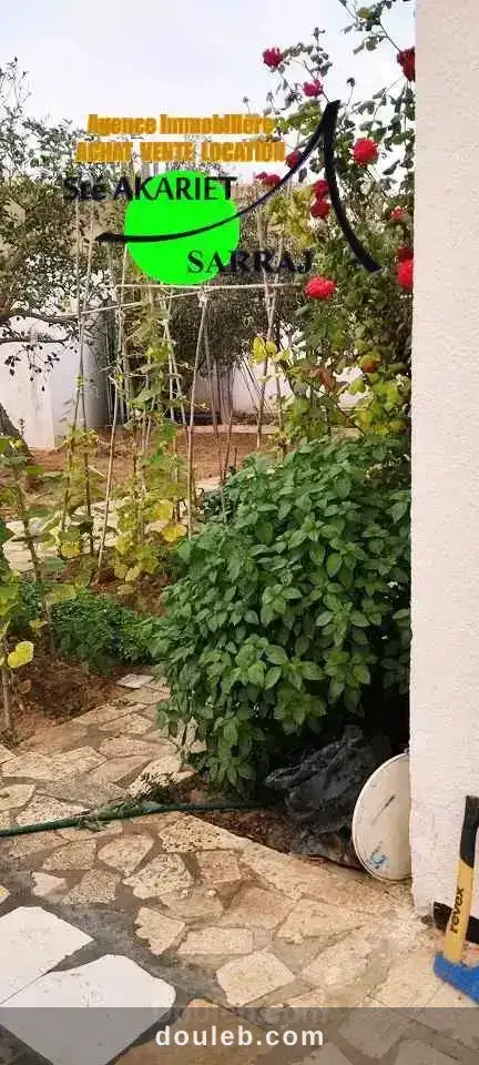 Villa 1000m prés salle des fêtes sghaier akouda - Miniature 3