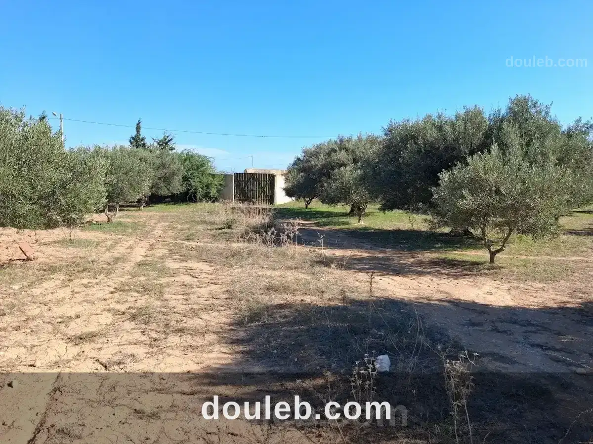 Terrain constructible - Miniature 3