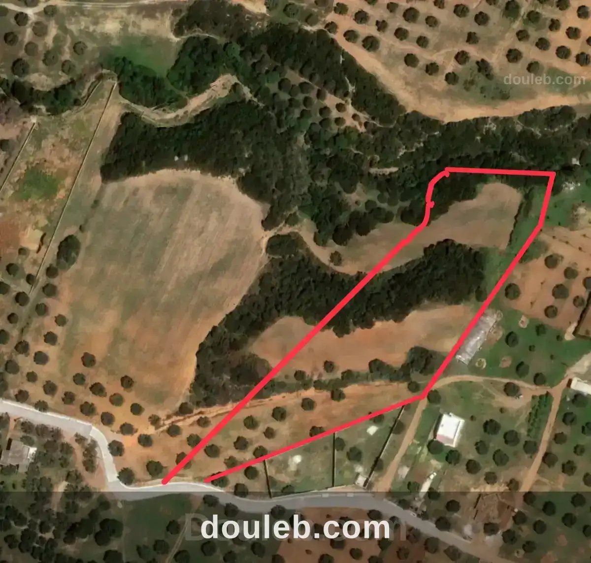 Terrain agricole pour investissement maison d hote - Photo 1