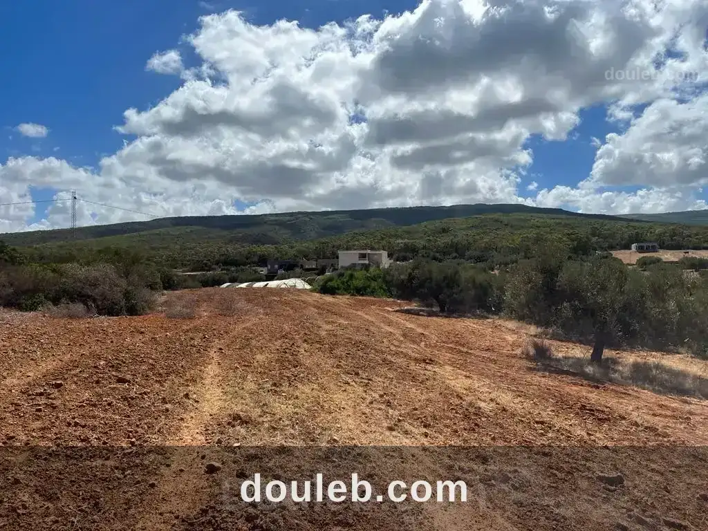 Terrain agricole pour investissement maison d hote - Miniature 3