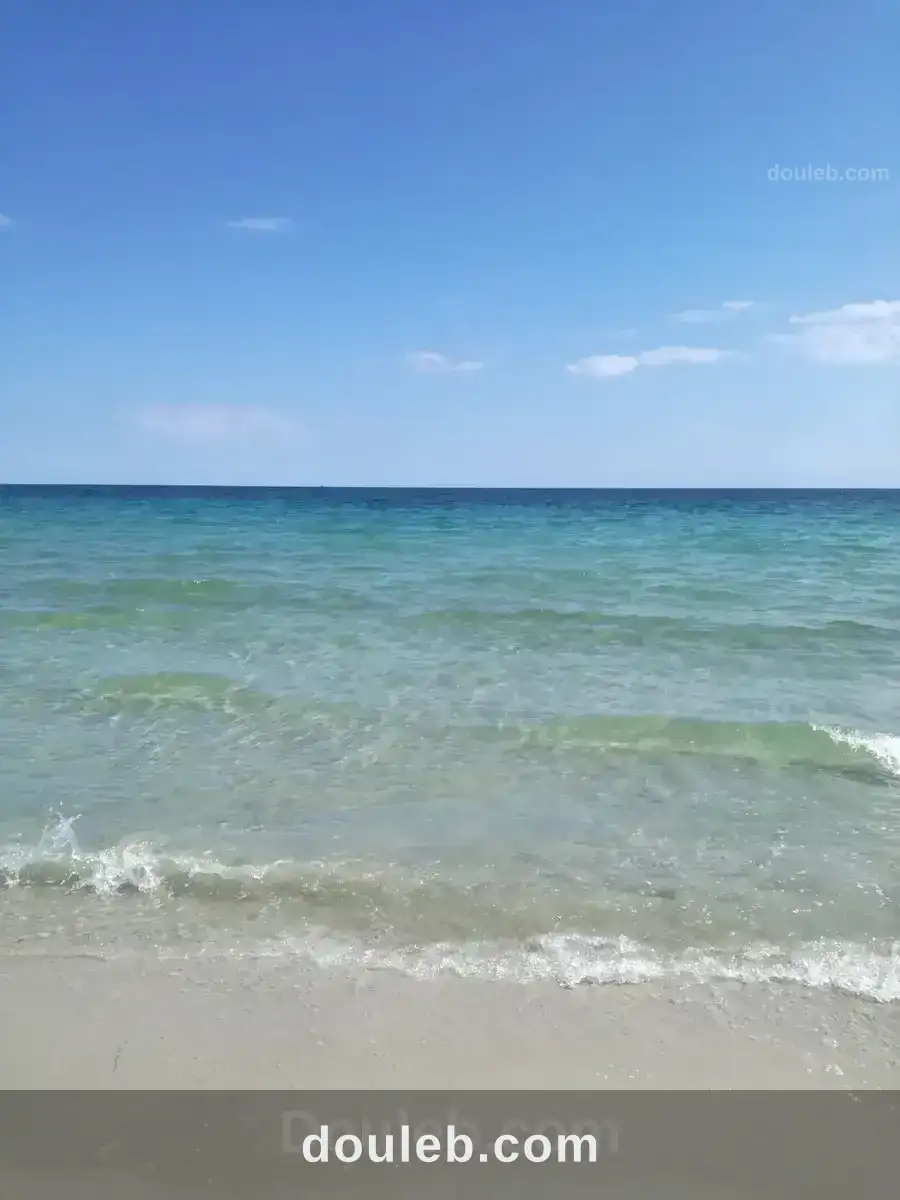 Appart non meublé à cité riadh - Miniature 5