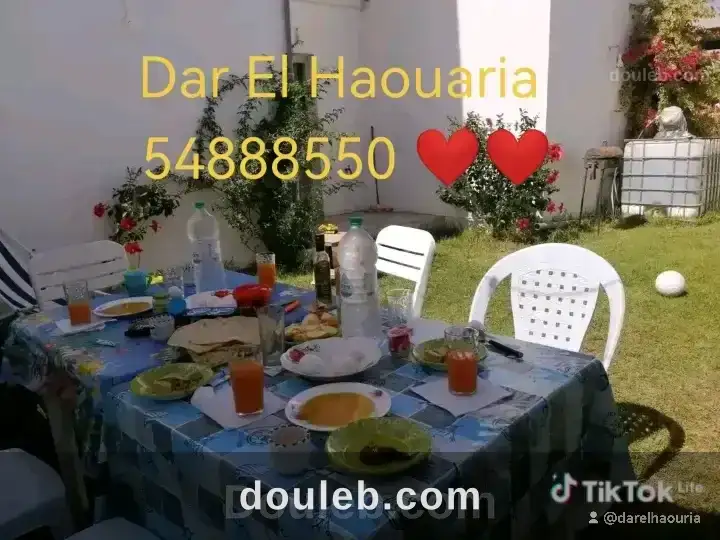 El haouaria plage - Miniature 4