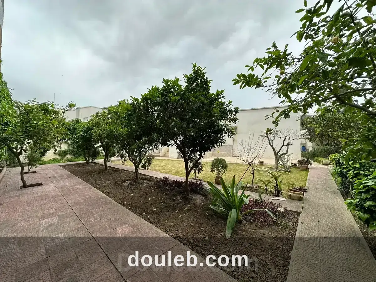 Villa avec jardin sur un terrain de 800 à ariana - Miniature 3