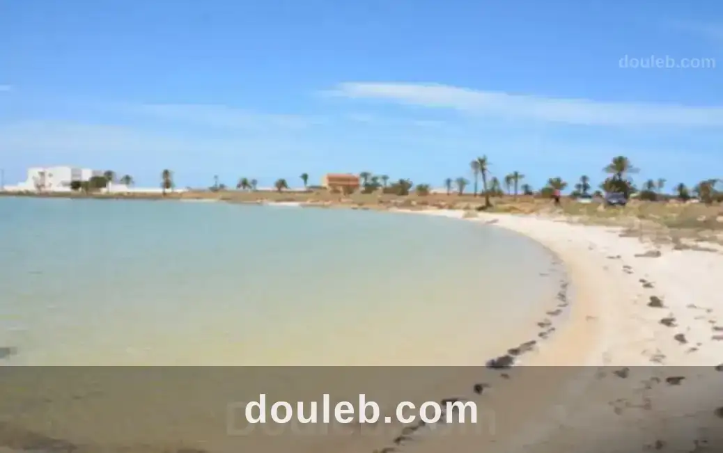 Lots de terrains à sidi fradj kerkennah - Miniature 2