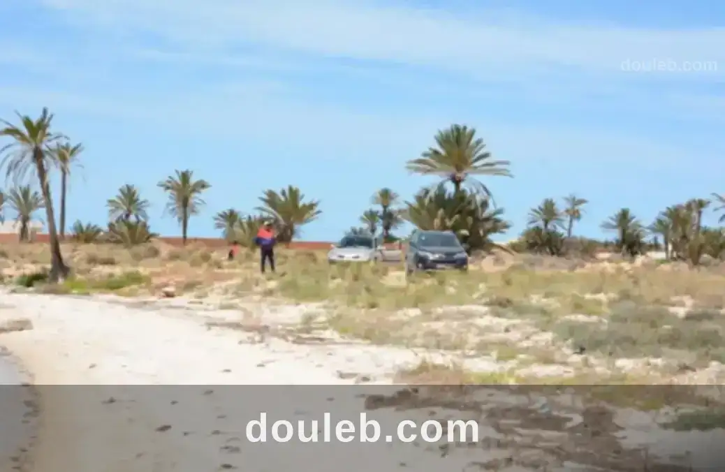 Lots de terrains à sidi fradj kerkennah - Miniature 3