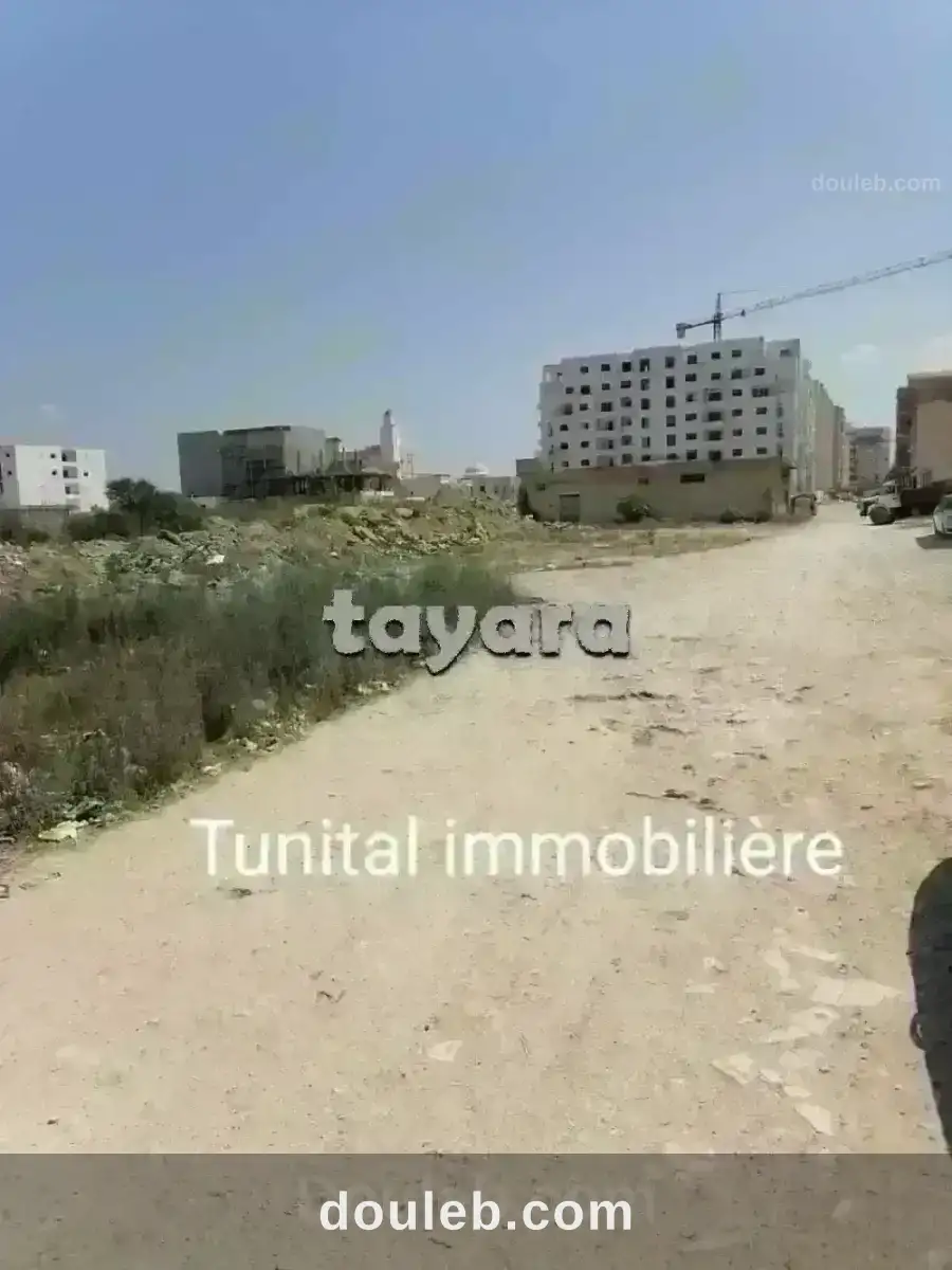 Bonne affaire à ne pas rater - Miniature 4