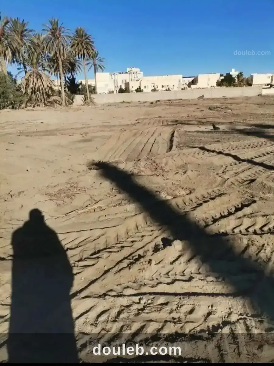 Terrain gafsa sud doualy - Miniature 4