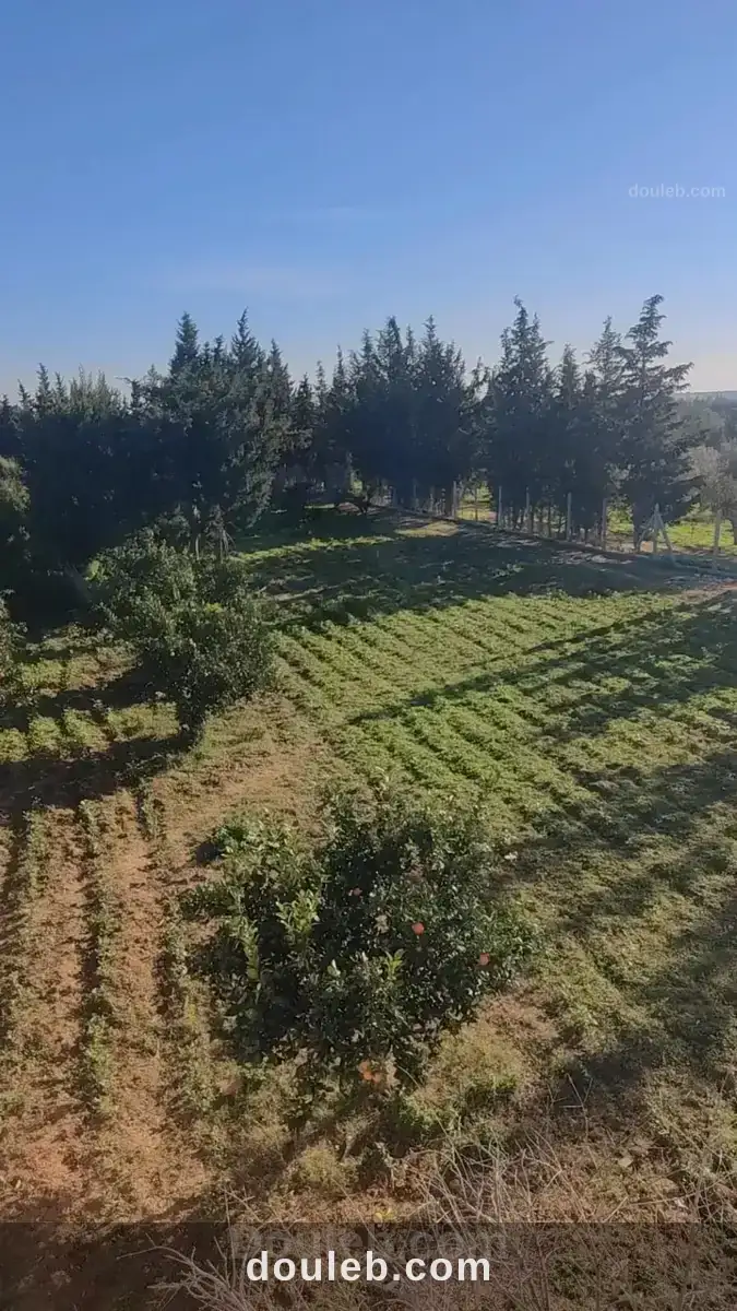 Ferme agricole - Miniature 4