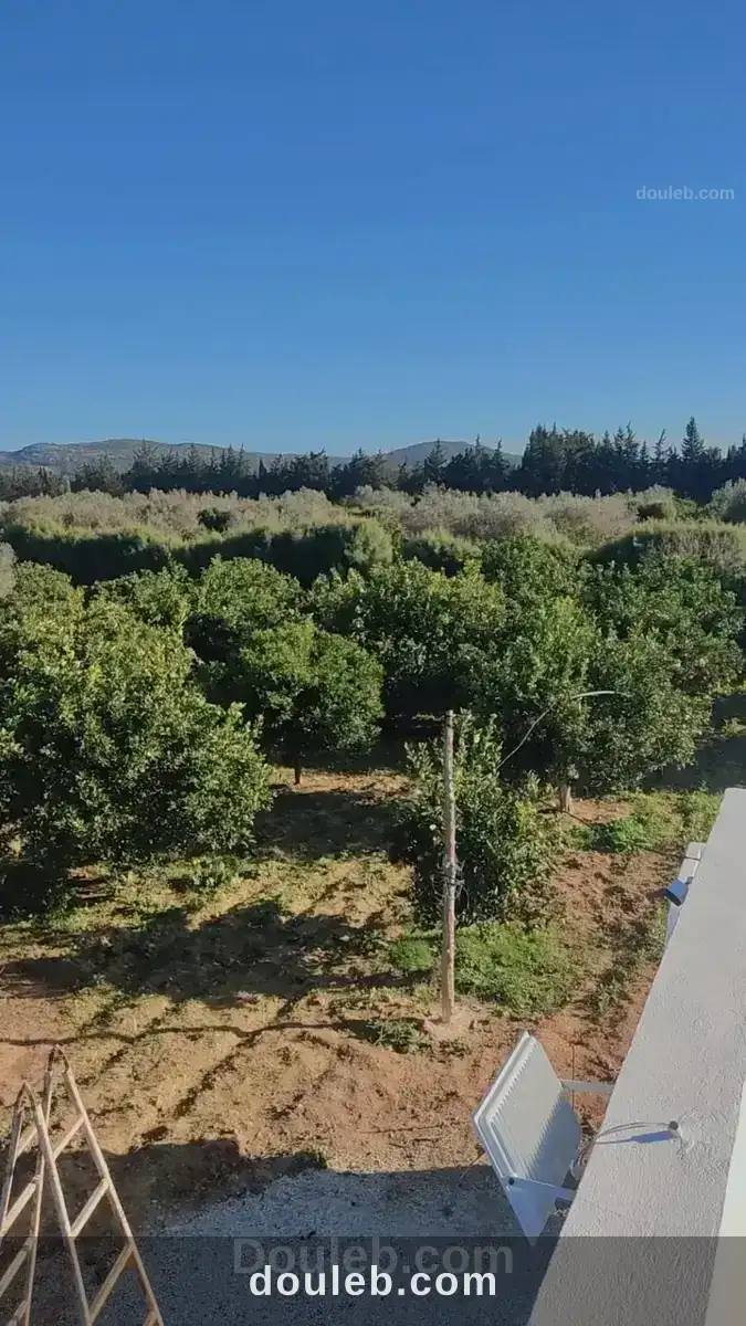 Ferme agricole - Miniature 5