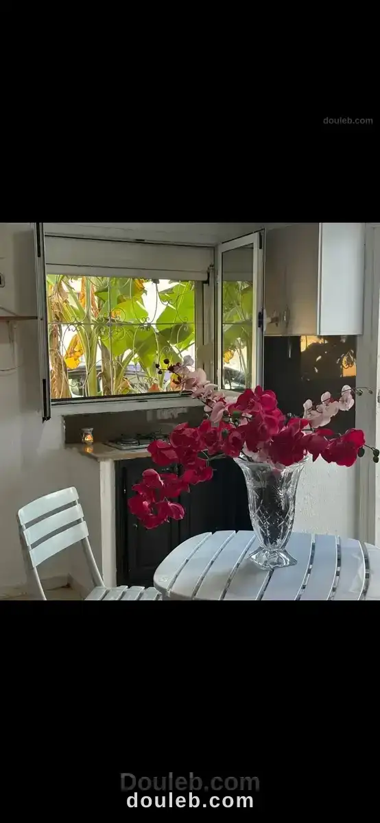 Menzeh 5 pour des etudiantes à Tunis