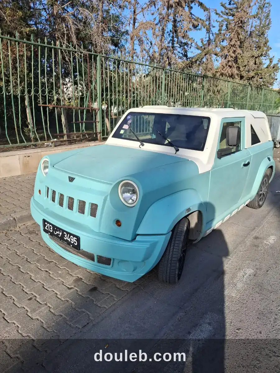 Wallys iris à Tunis